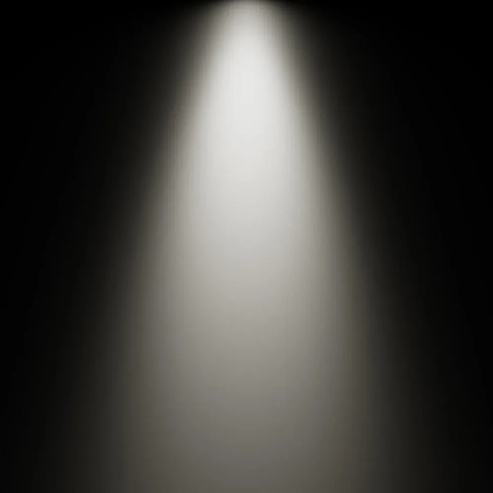 810 Impulse Adjustable Spot Light