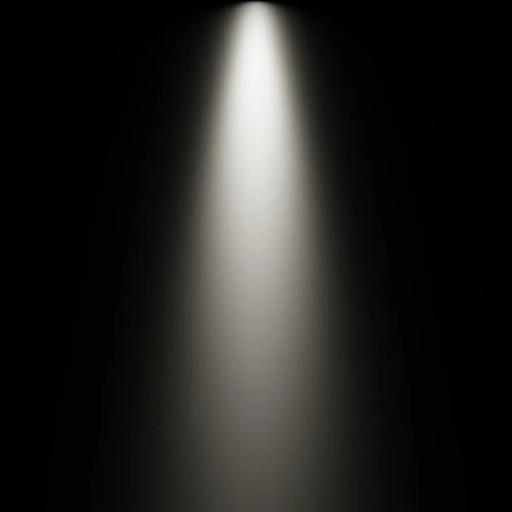 810 Impulse Adjustable Spot Light