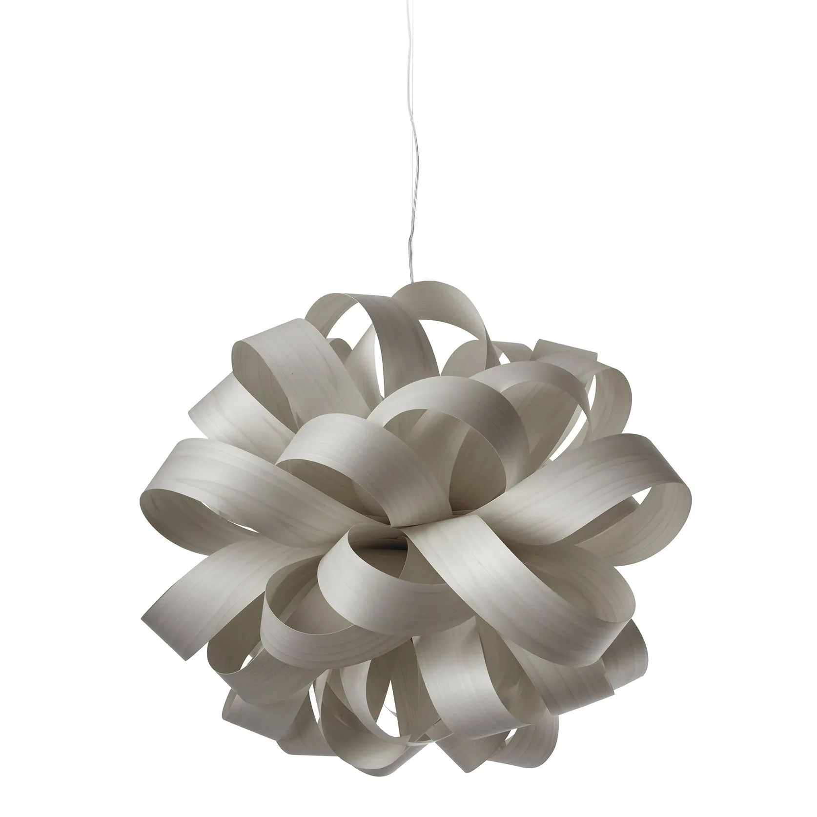 Agatha Bolla Suspension