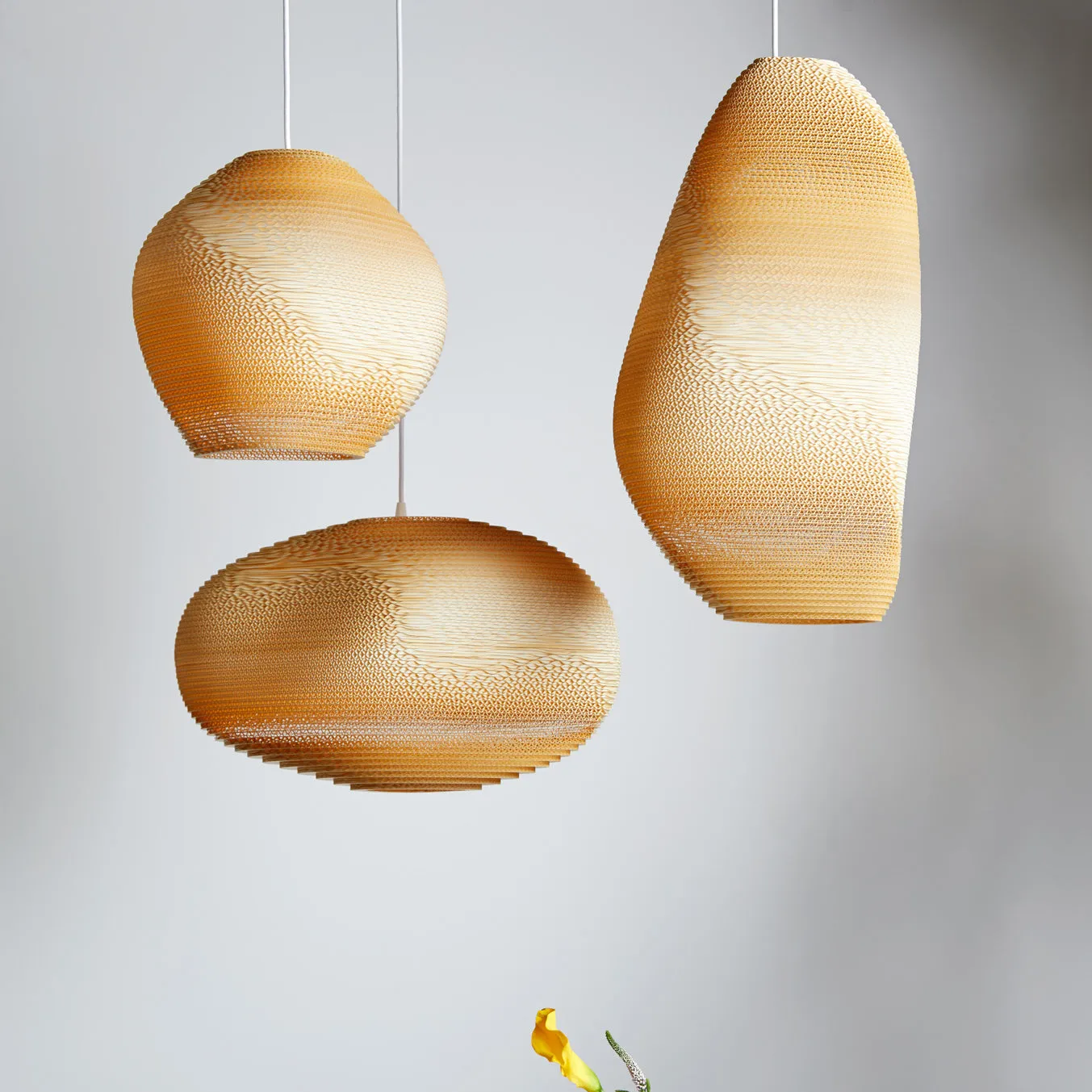 Alki Pendant Light