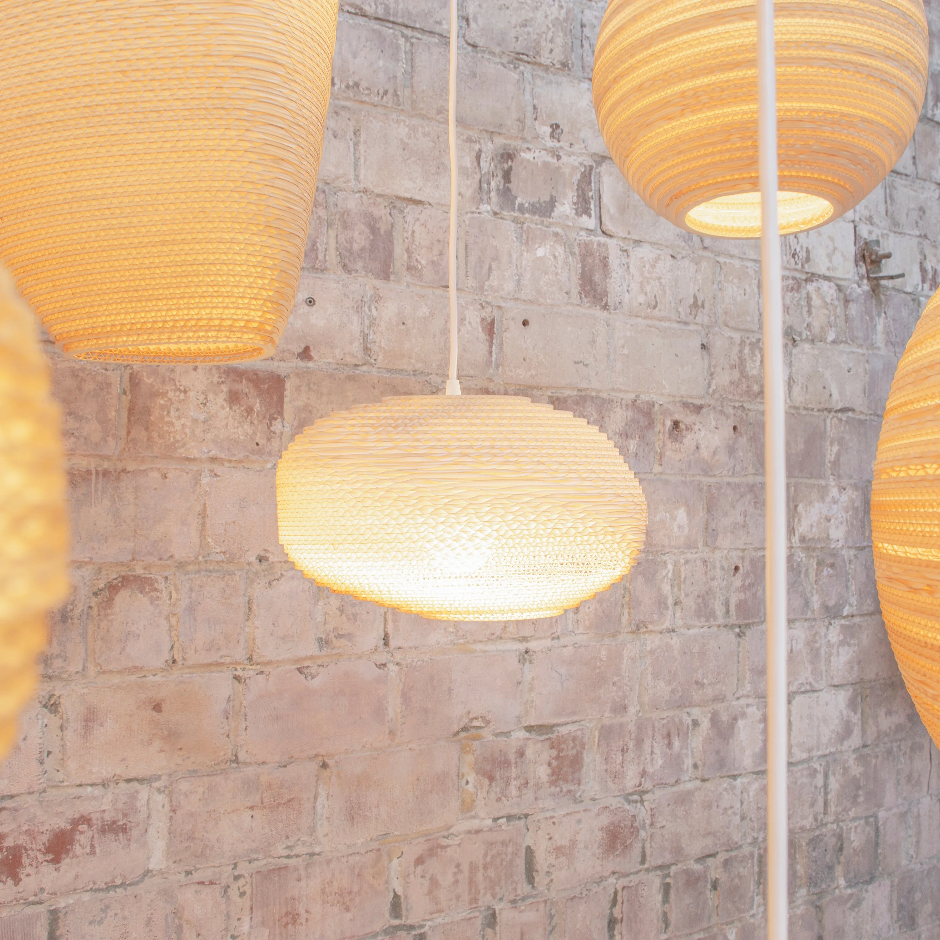 Alki Pendant Light