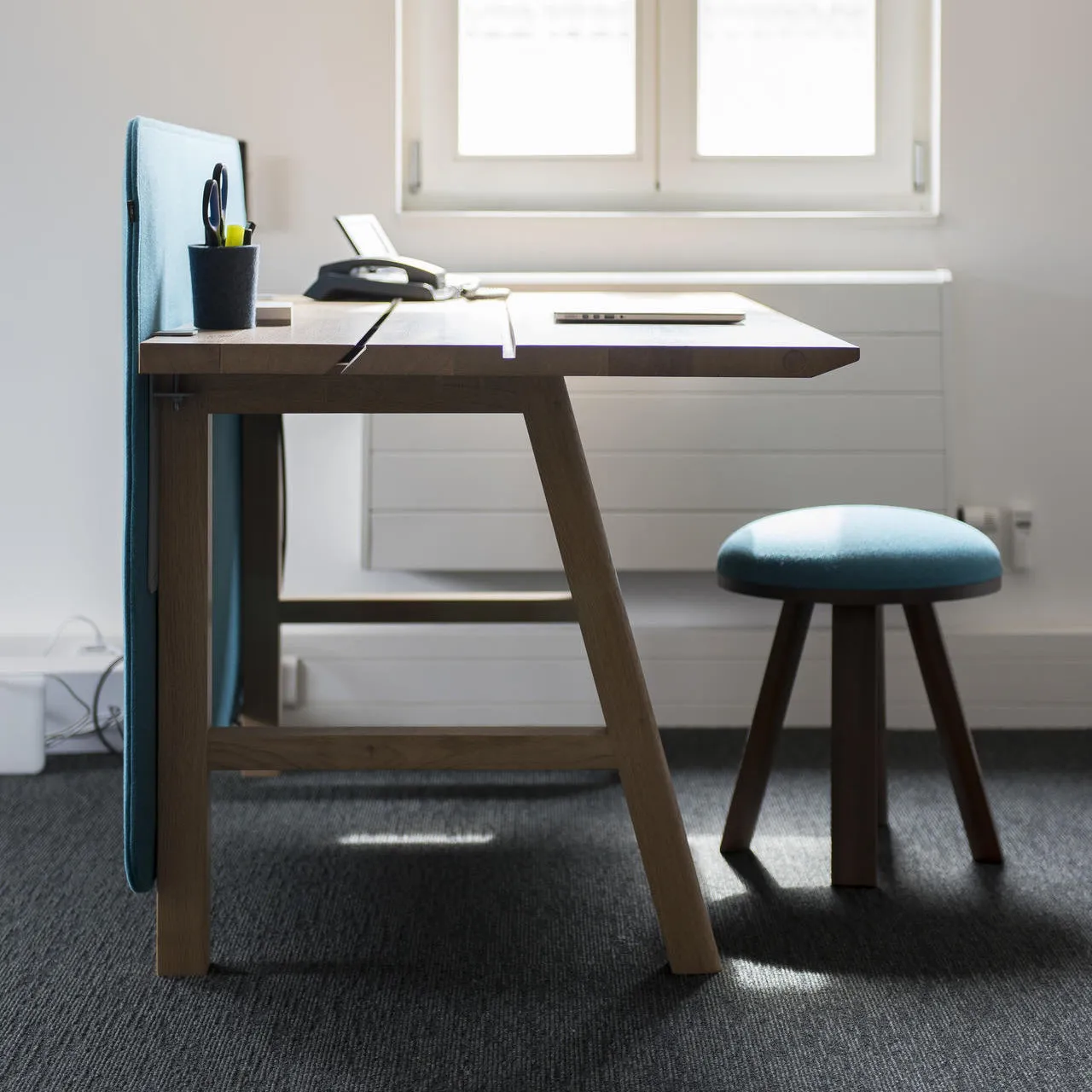 BuzziPicnic Desk