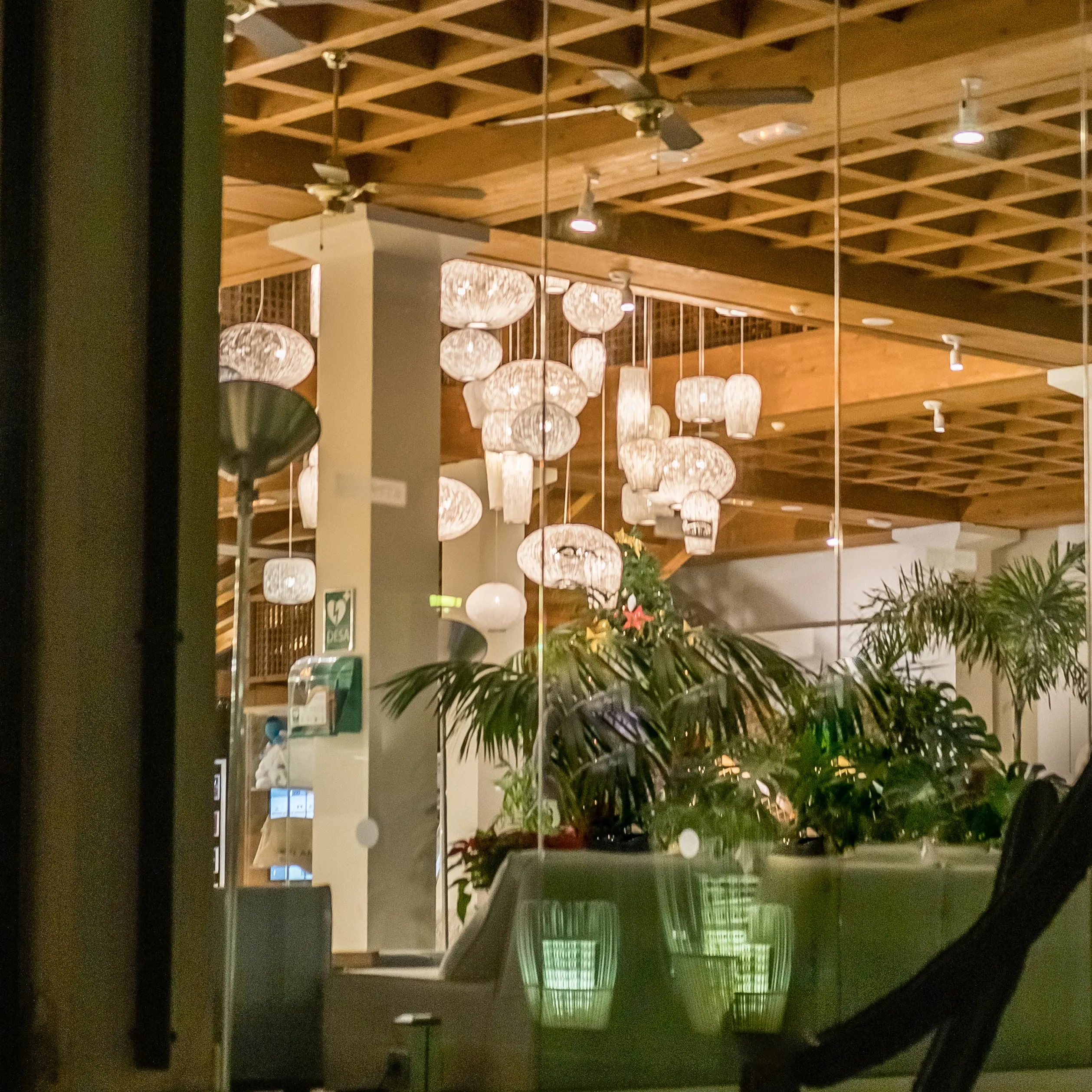 Coral Cay Pendant Light