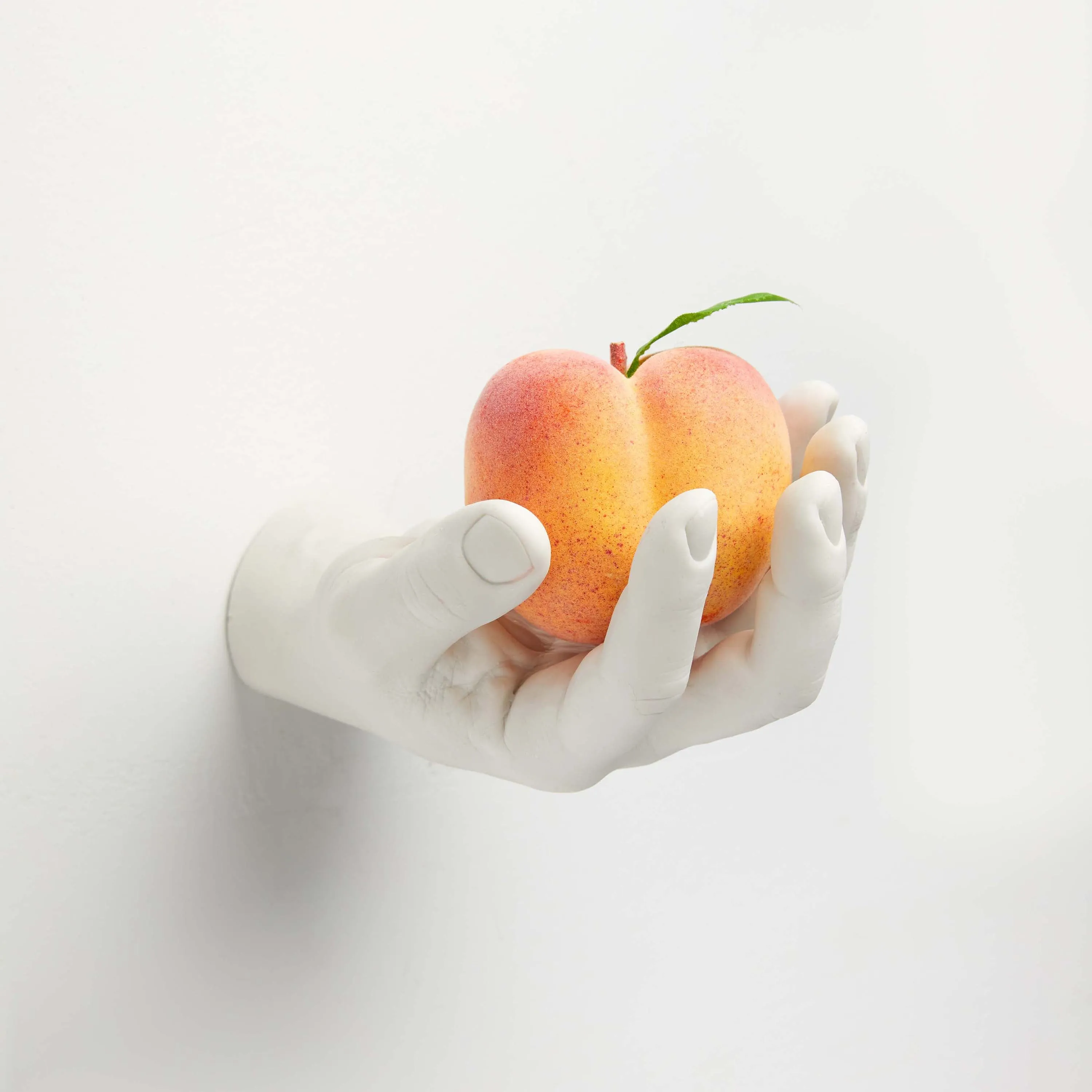 Hand Hook