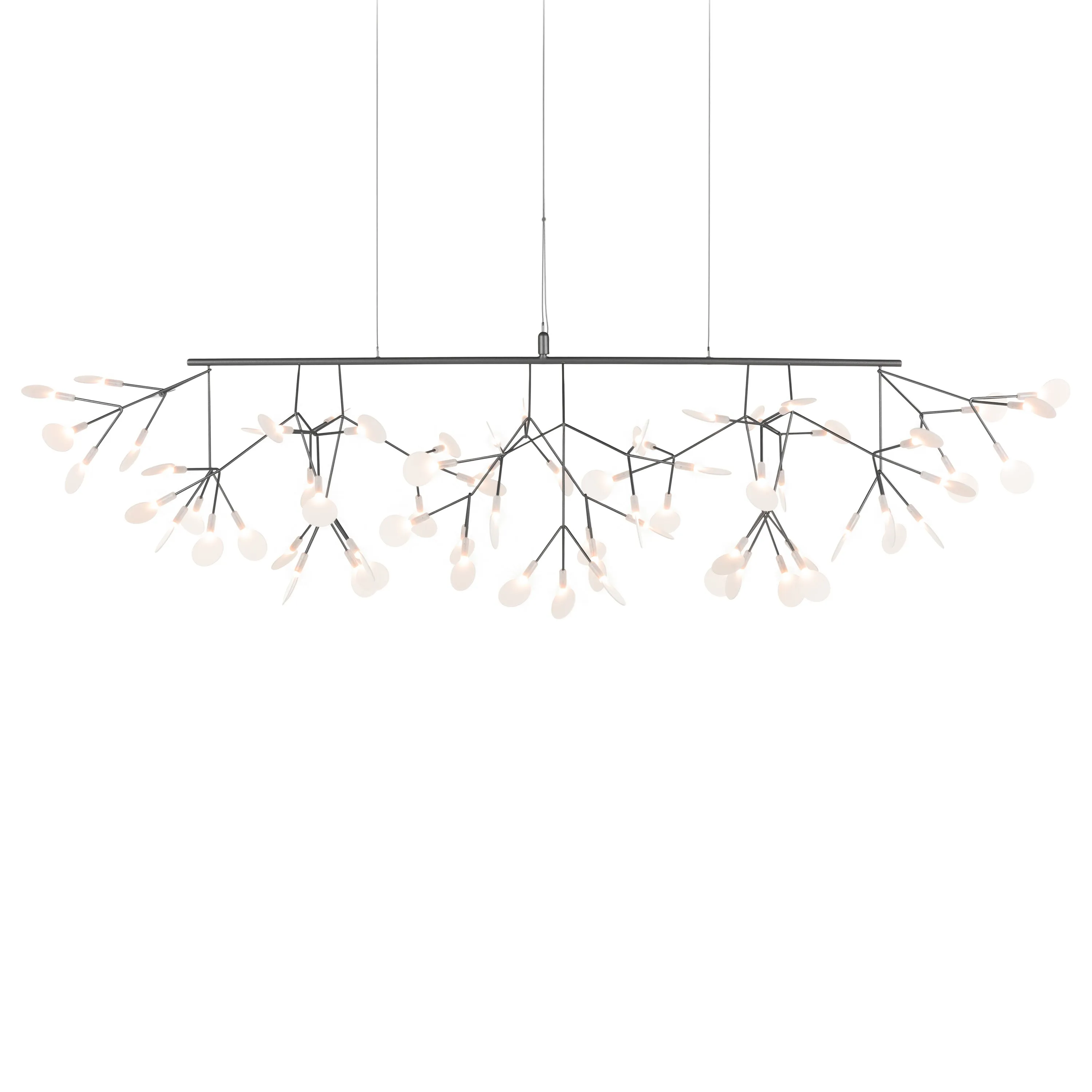 Heracleum III Linear Light