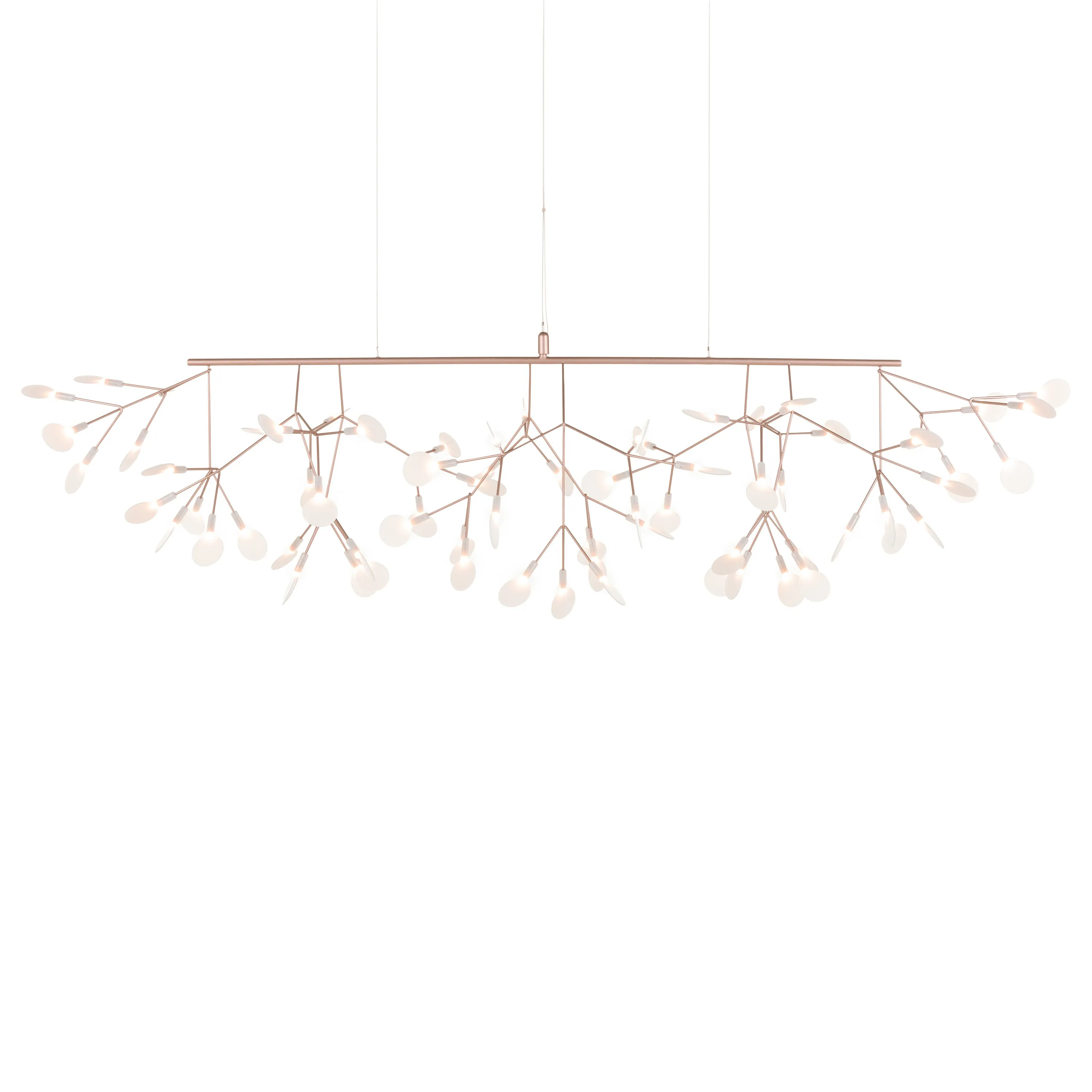 Heracleum III Linear Light