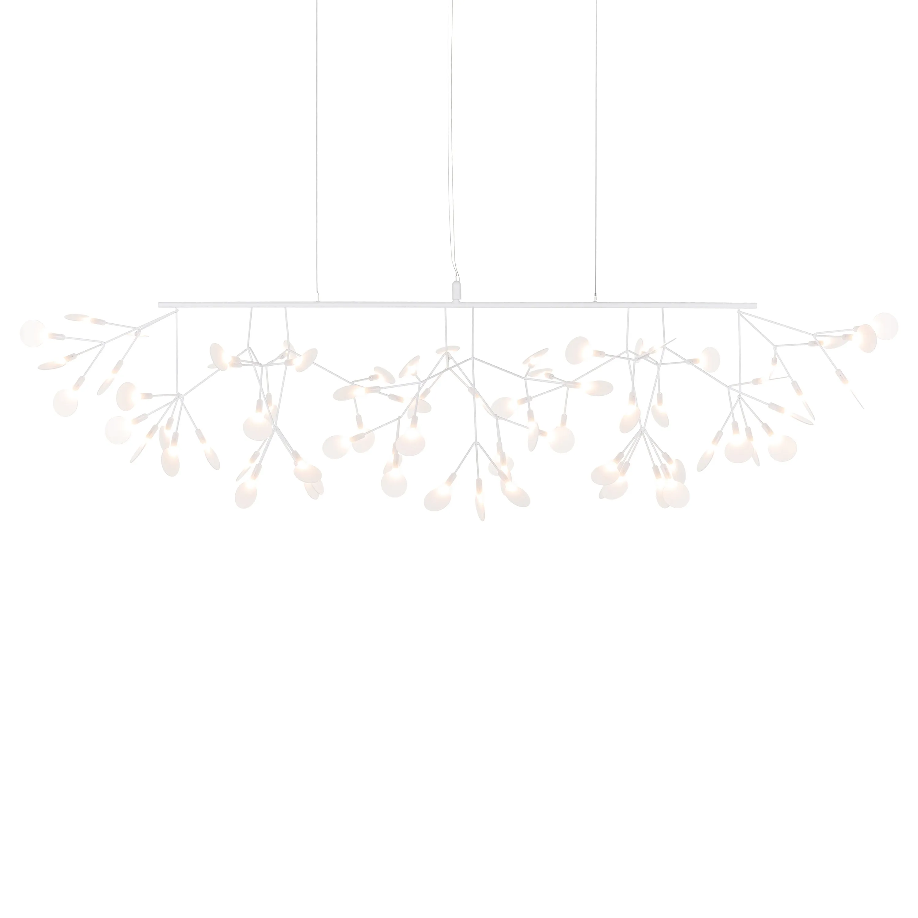 Heracleum III Linear Light