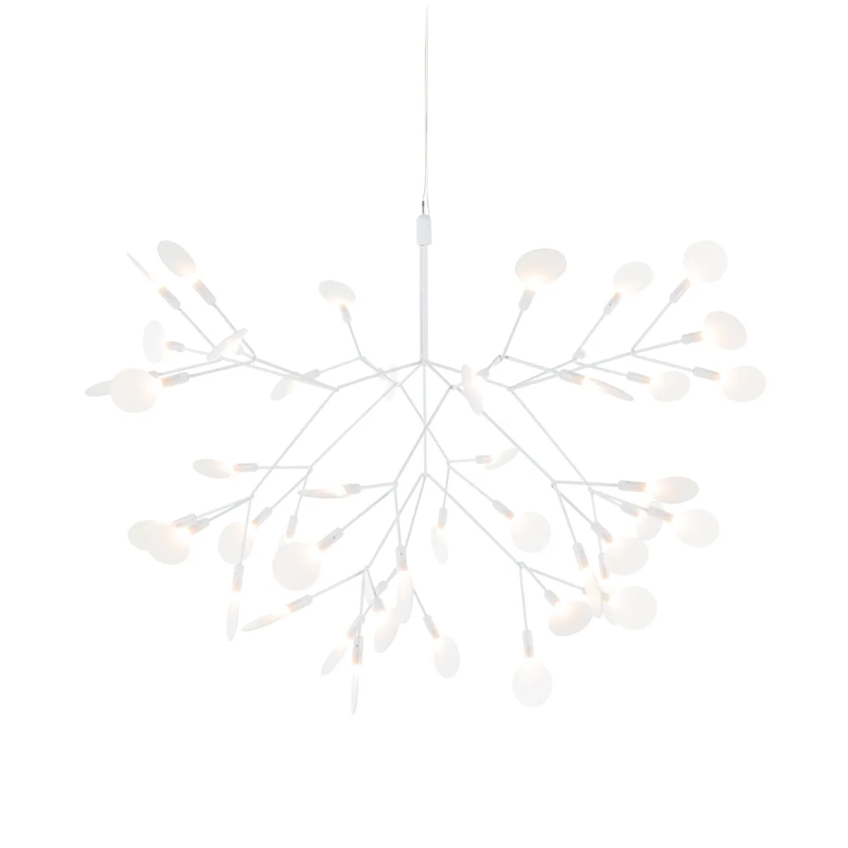 Heracleum III Suspended Light
