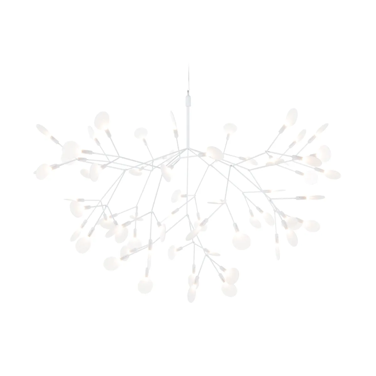 Heracleum III Suspended Light
