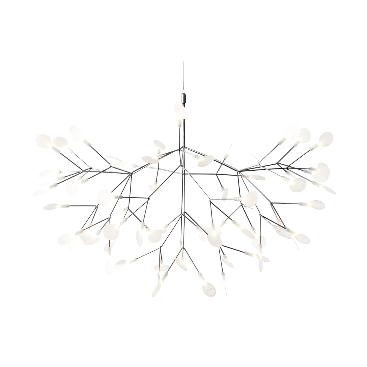Heracleum III Suspended Light