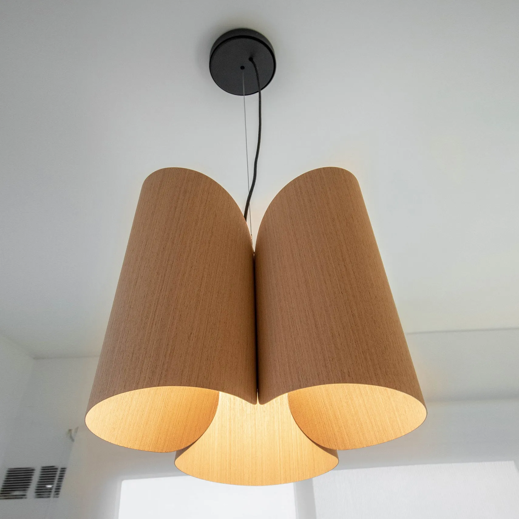 Julieta Pendant Light