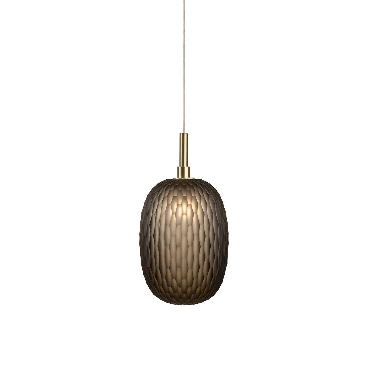 Metamorphosis LED Pendant Light