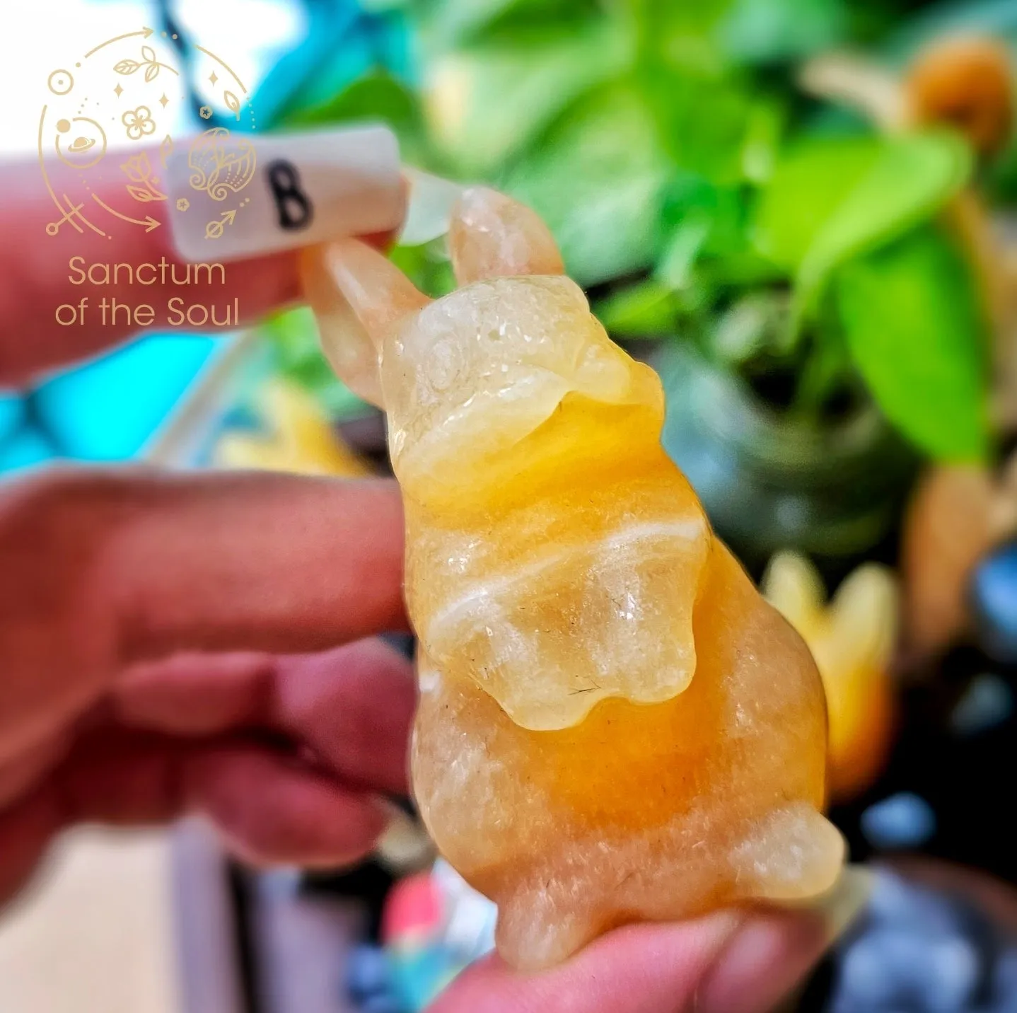 Mexican Calcite Rabbits