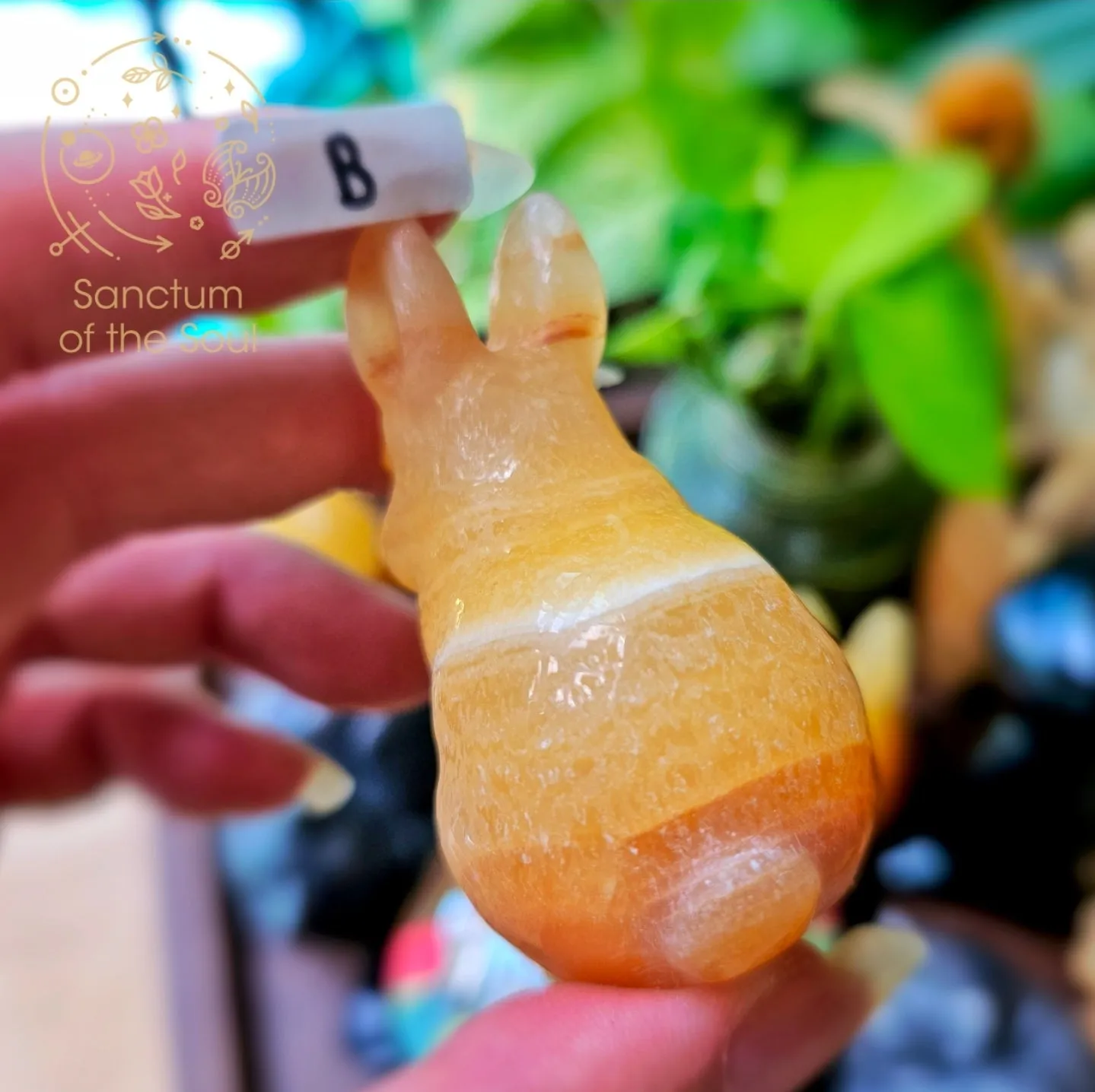 Mexican Calcite Rabbits
