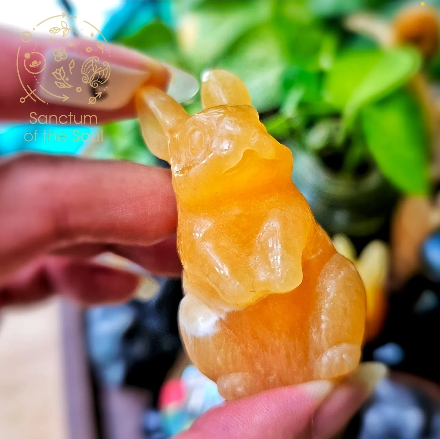 Mexican Calcite Rabbits