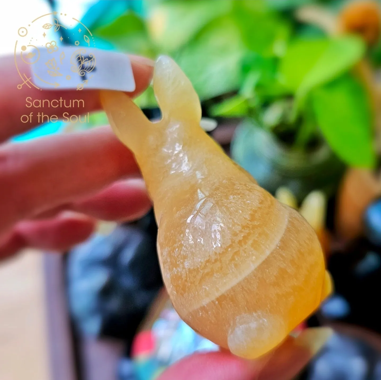 Mexican Calcite Rabbits