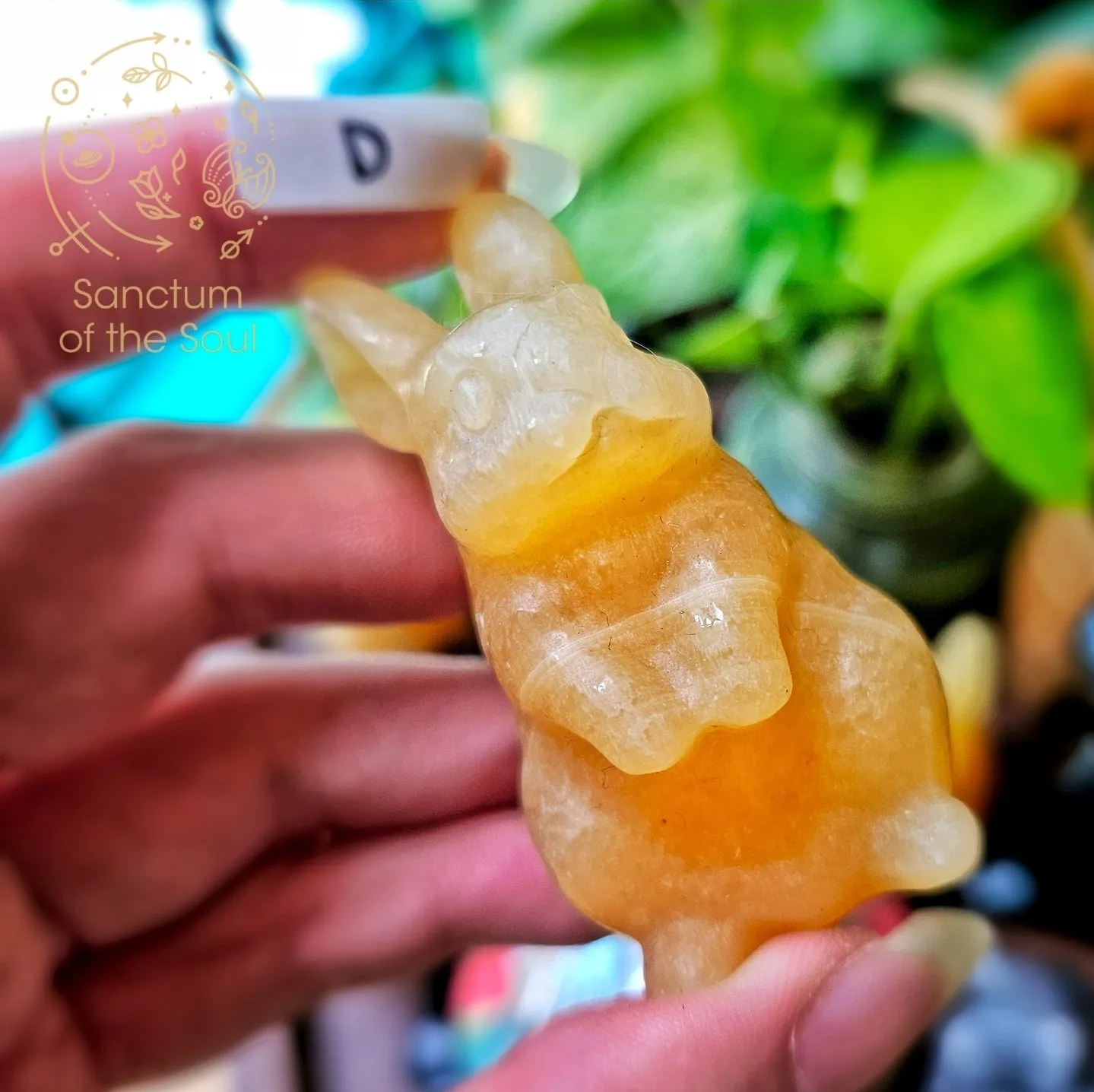 Mexican Calcite Rabbits