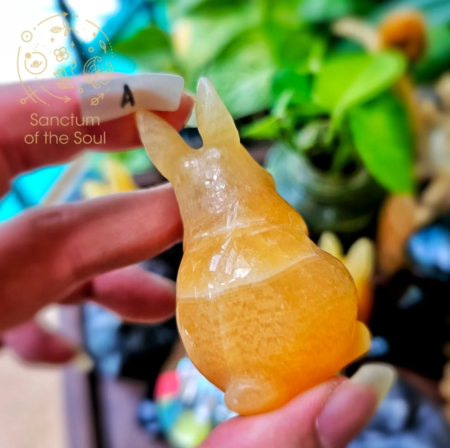 Mexican Calcite Rabbits