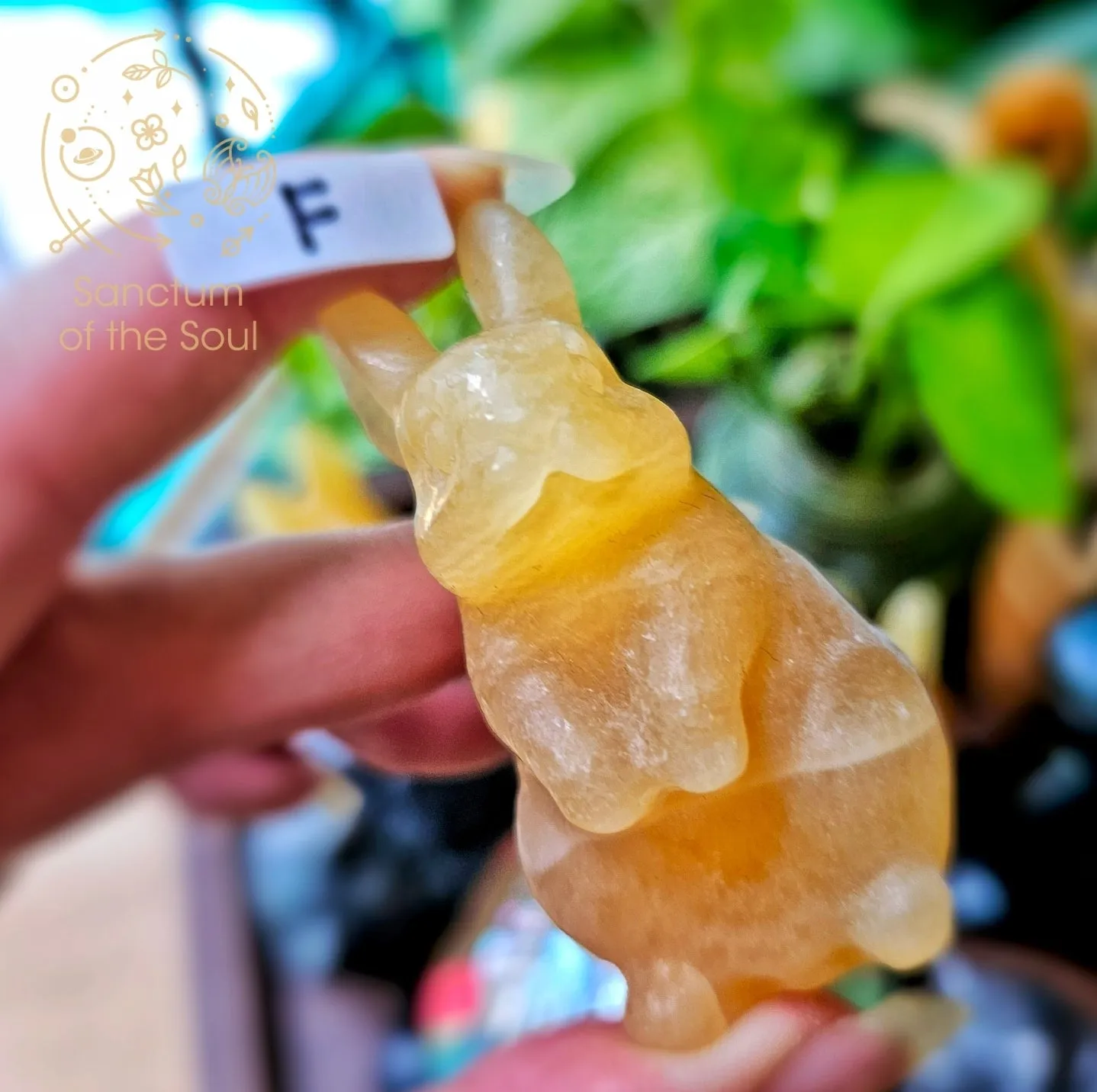 Mexican Calcite Rabbits