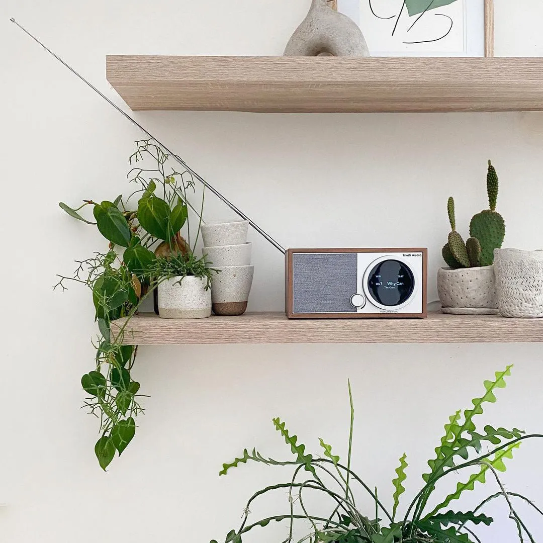 Model One Digital Radio Gen 2