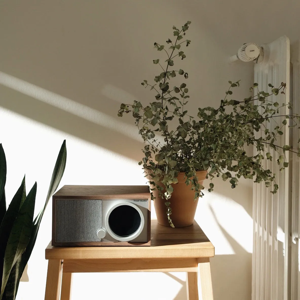 Model One Digital Radio Gen 2