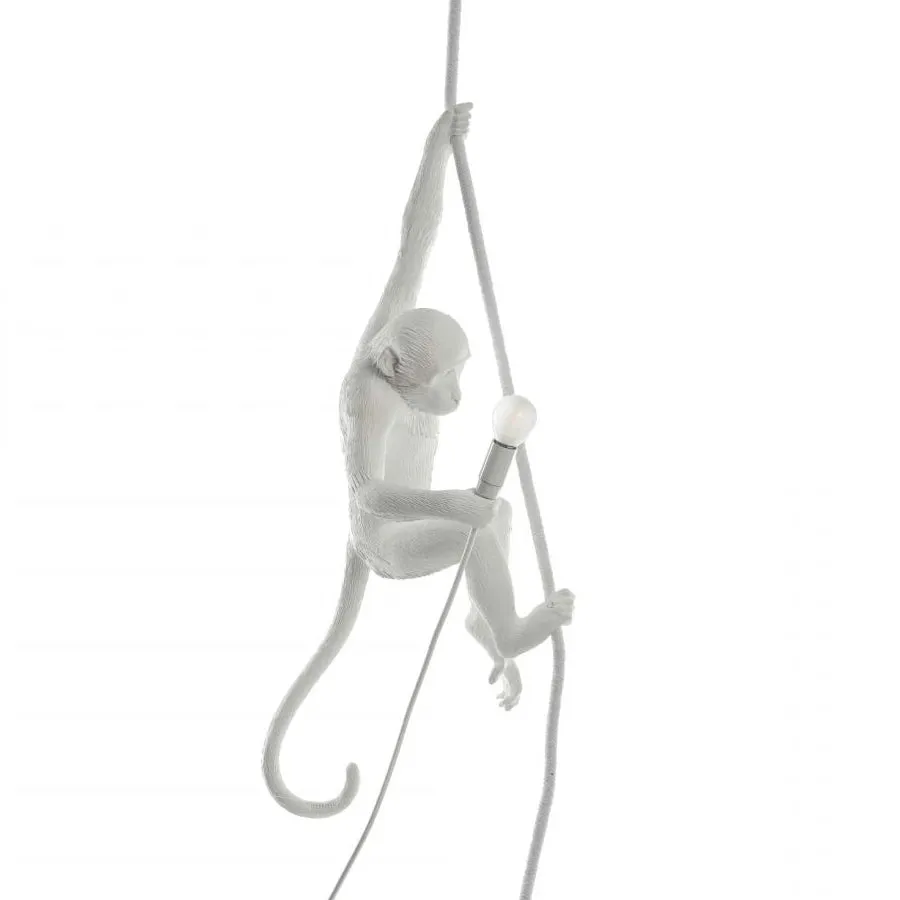 Monkey Outdoor Ceiling Lamp