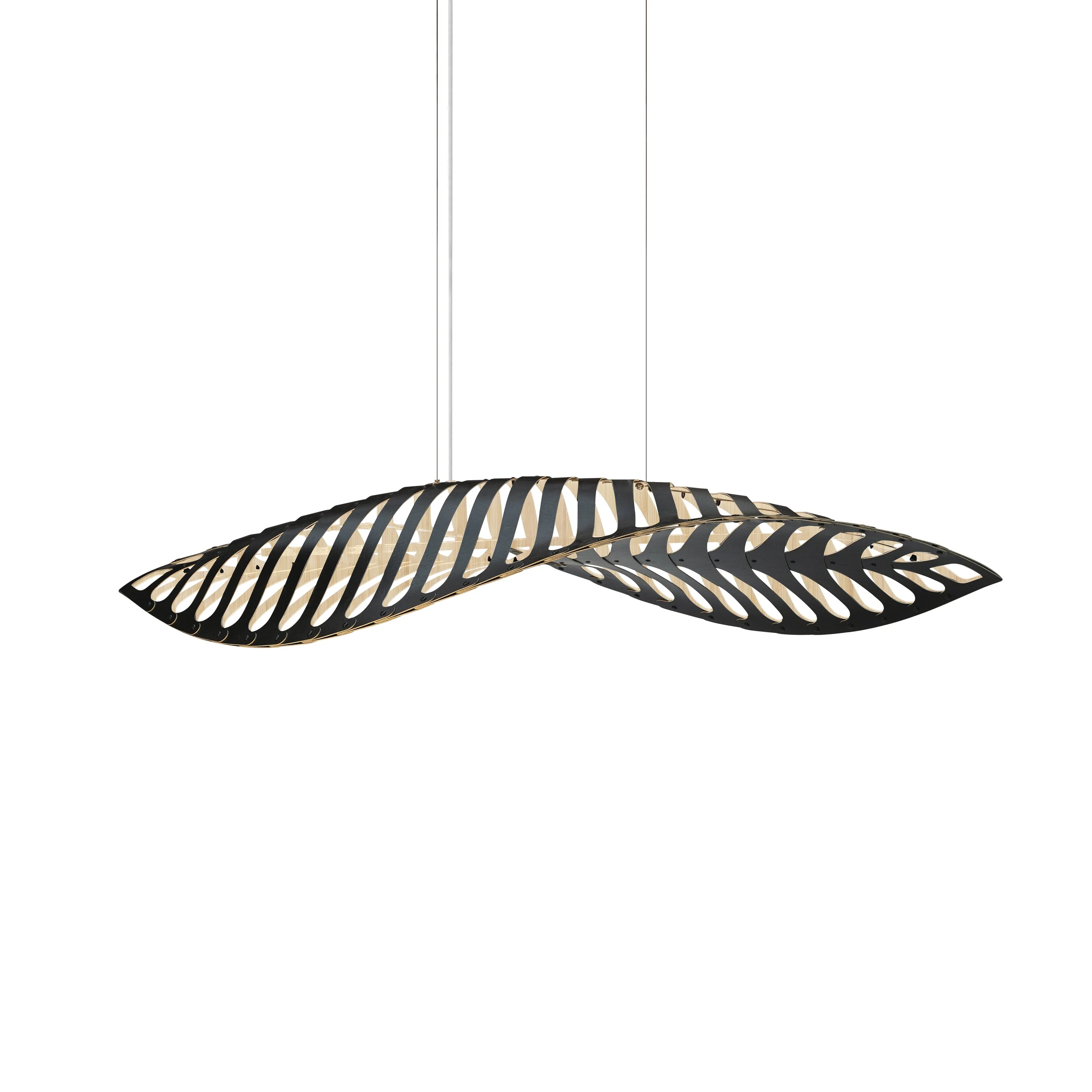 Navicula Pendant Light