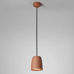 Nut Pendant Light