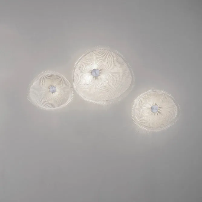 Onn Ceiling / Wall Light