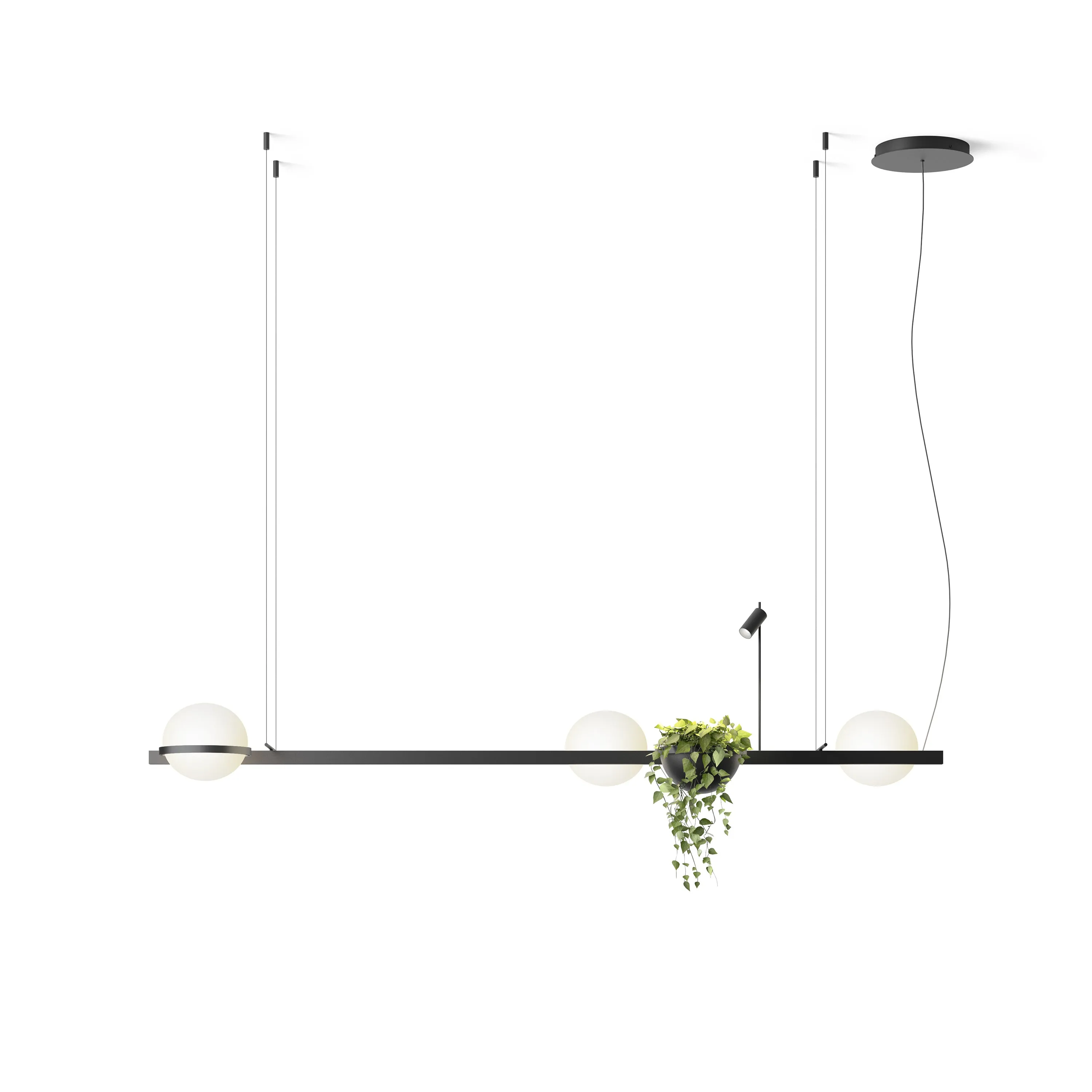 Palma Pendant Light