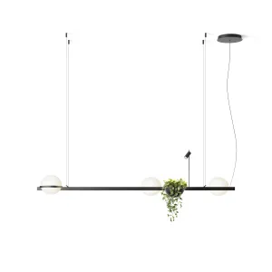 Palma Pendant Light