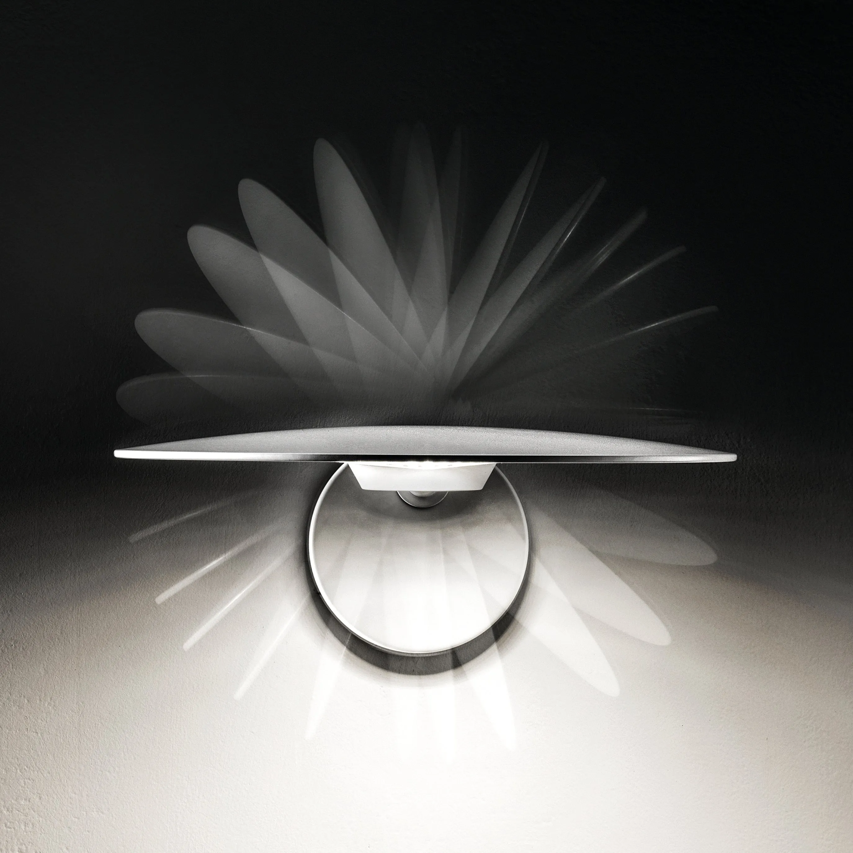 Puzzle Round Wall / Ceiling Light