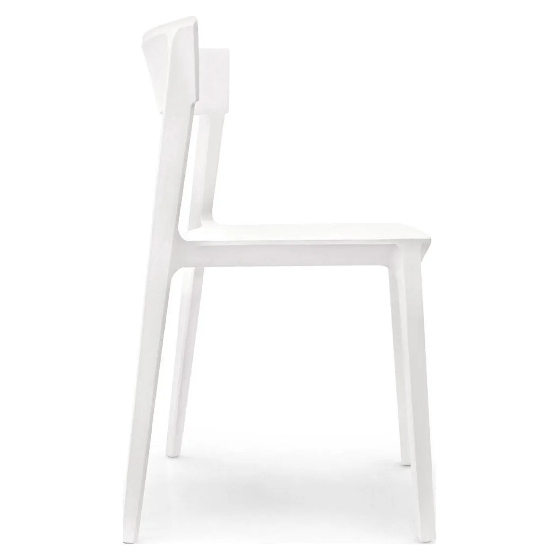 Skin Chair