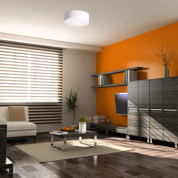 Tango Wall or Ceiling Light