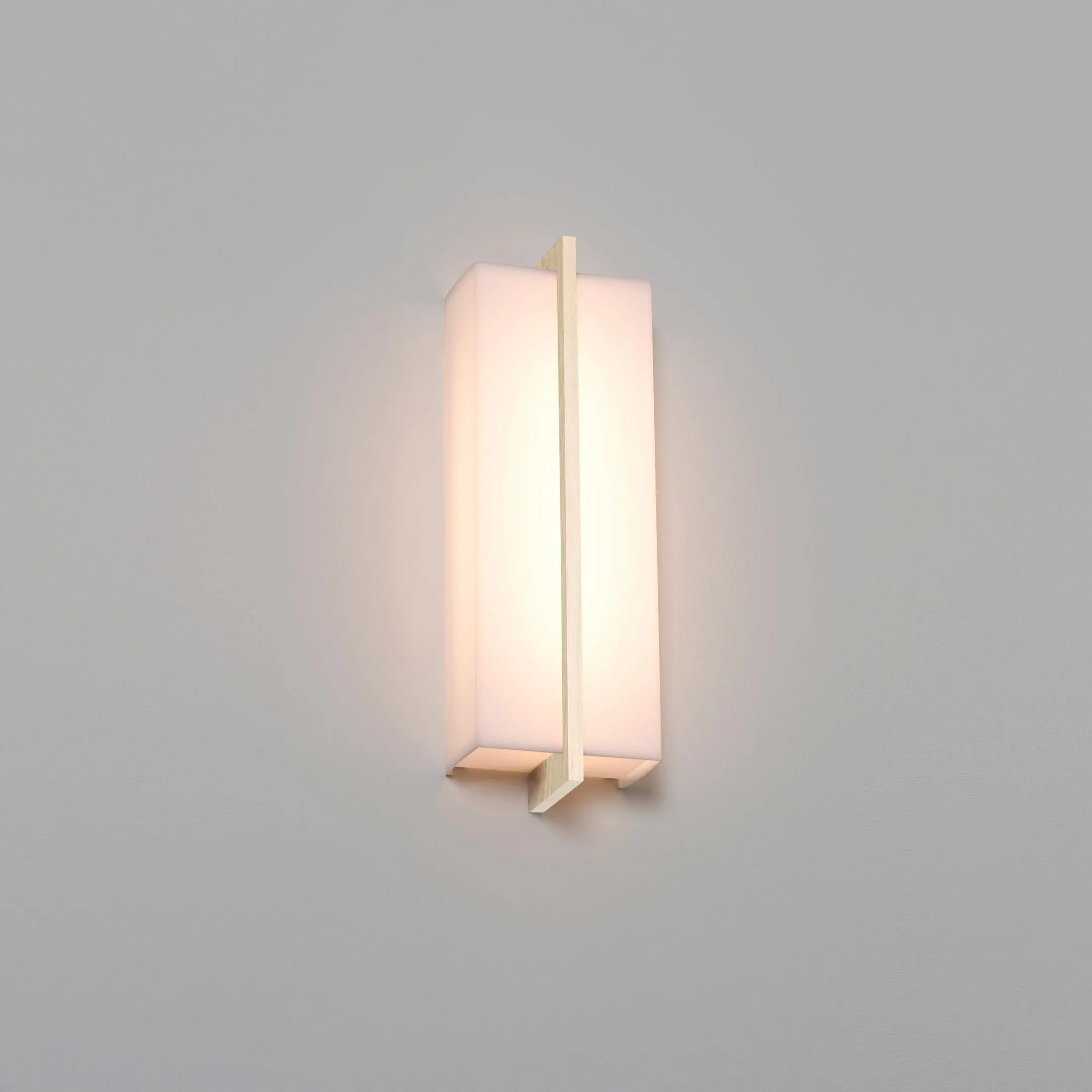 Via Wall/Ceiling Light